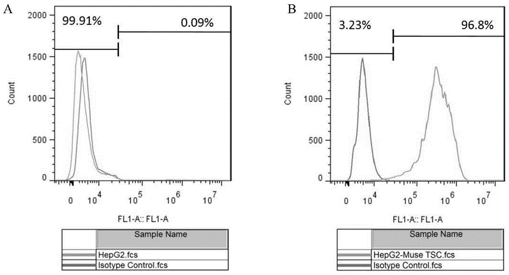 A method for isolating tumor stem cells