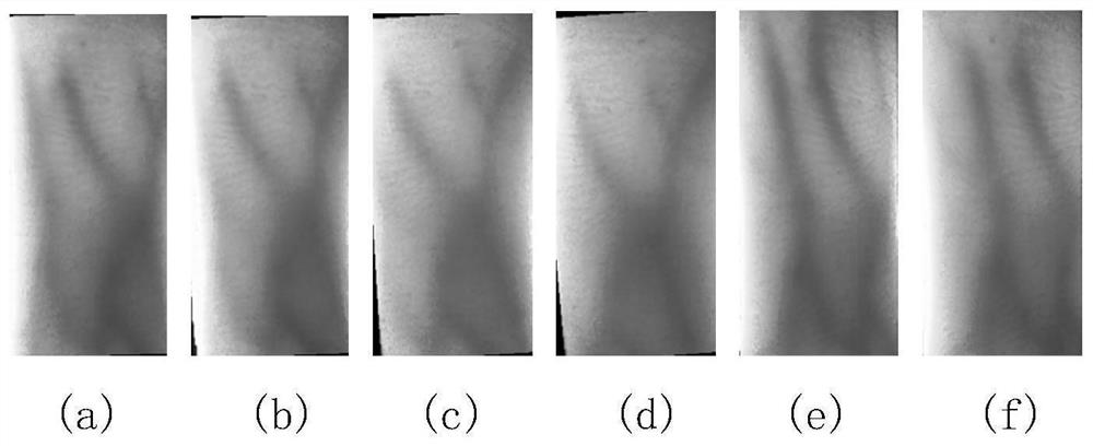 Finger vein recognition method combining apparent similarity and singular point matching number