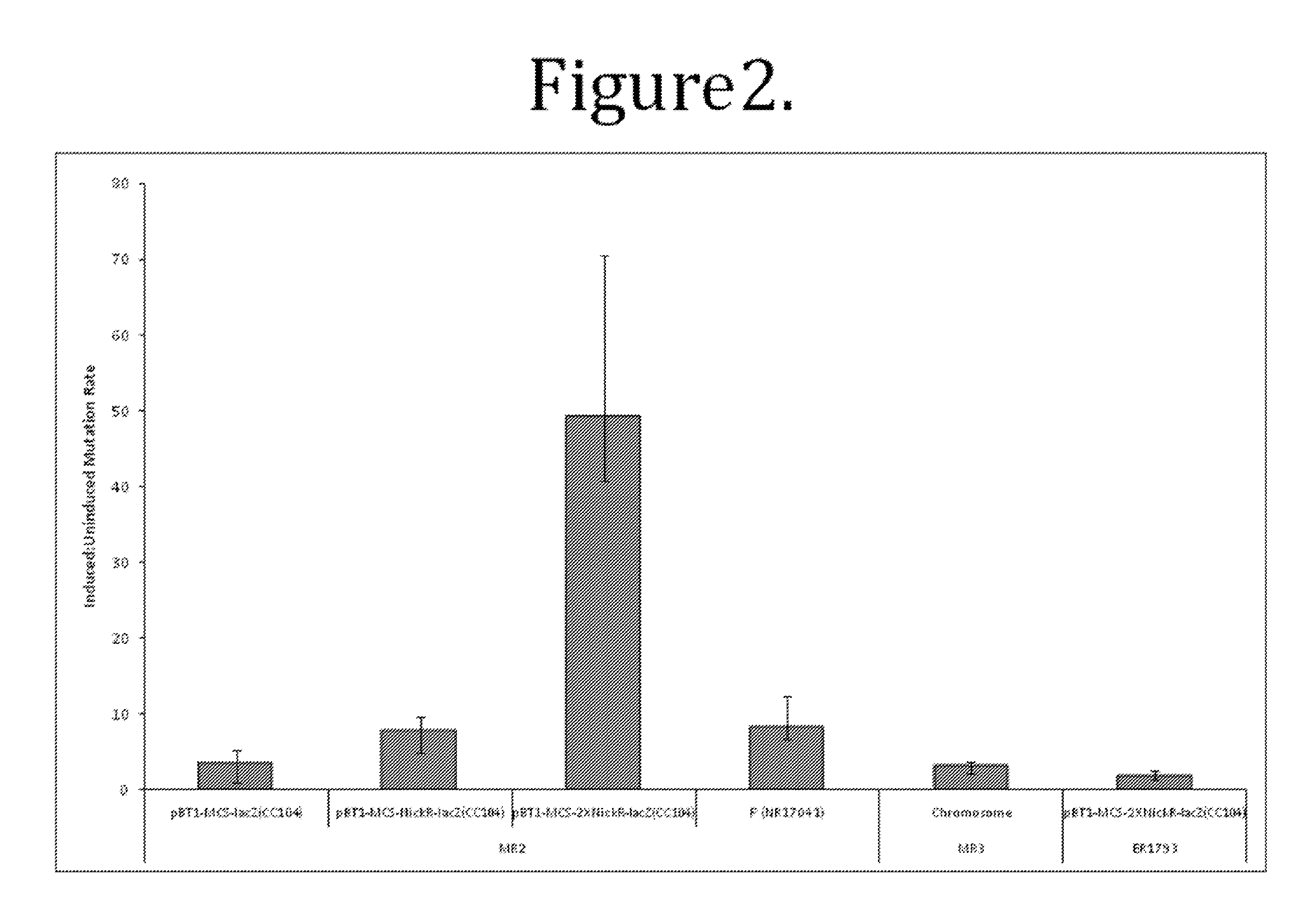 Methods and compositions for targeted mutagenesis in bacteria