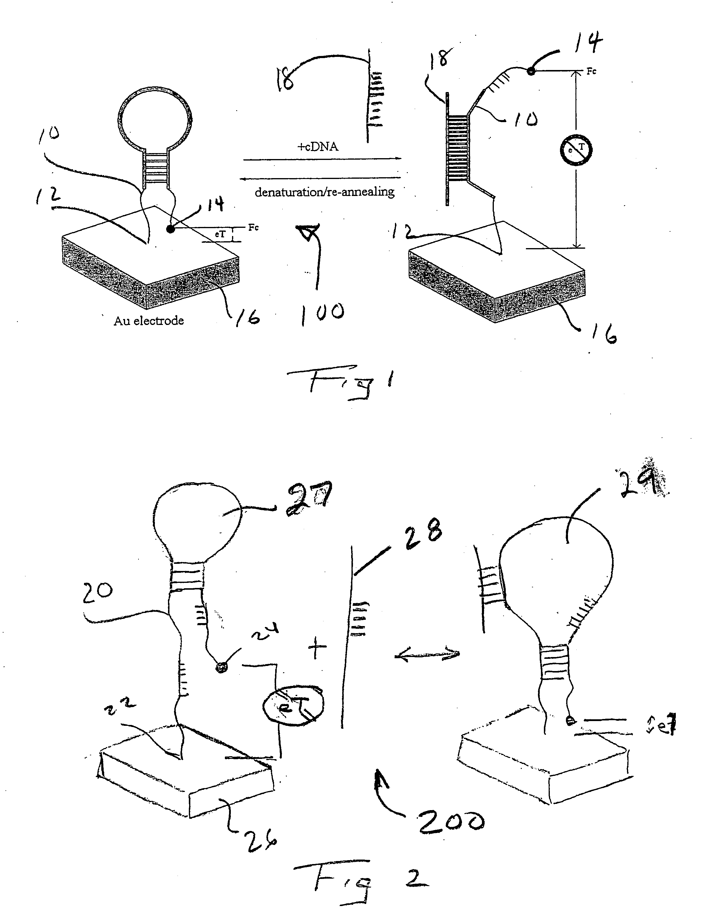 Reagentless, reusable bioelectronic detectors and their use as authentication devices