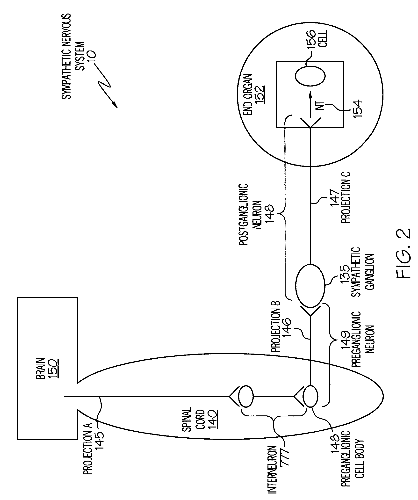 Device and method for attenuating an immune response
