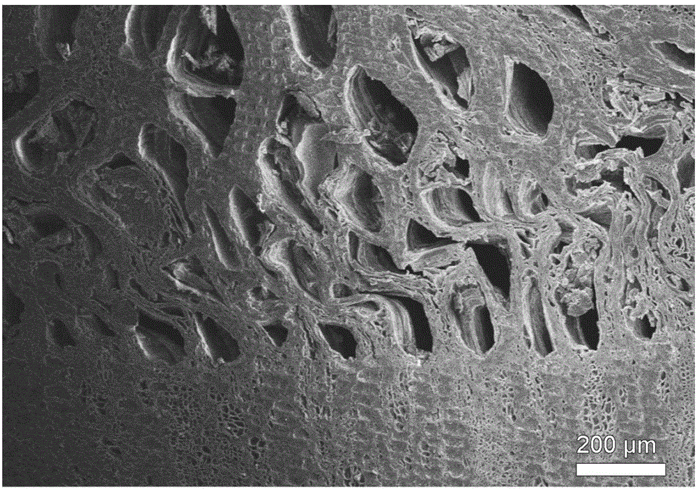 Reinforcing method utilizing waterlogged wood relics of nanocellulose