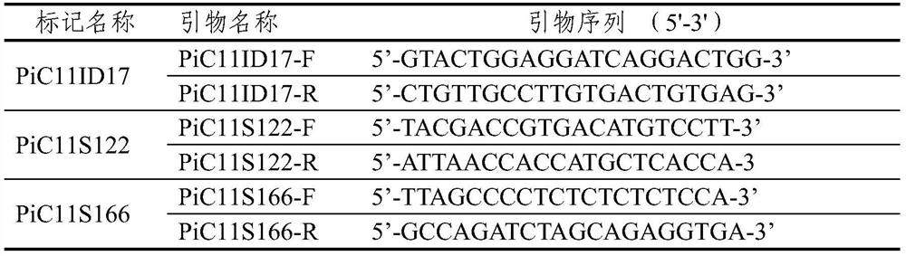 Recombined nucleic acid fragment reccr010160 and its detection primers and applications