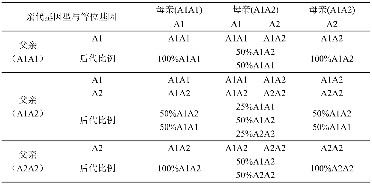 A Breeding Method for Simplified Selection of High-performance A2A2 Homozygous Genotype Dairy Cows Based on Pedigree Information