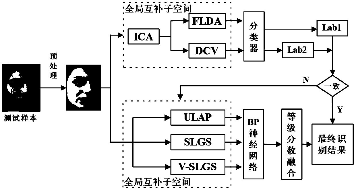 A face recognition method based on multi-feature description and local decision weighting