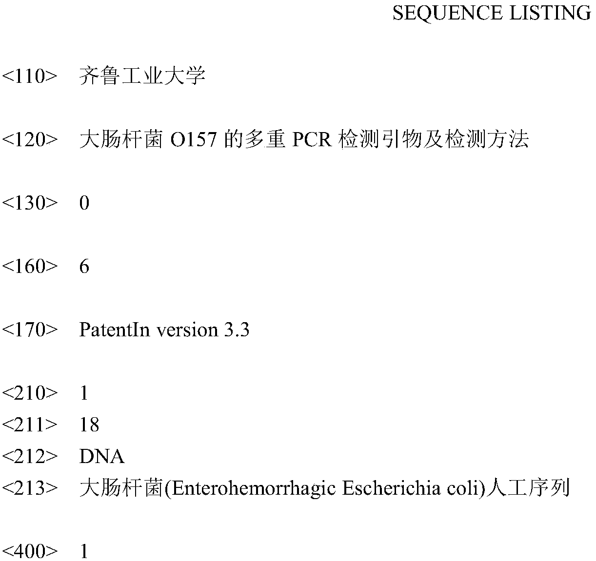 Multiplex PCR detection primers and multiplex PCR detection method for Escherichia coli O&lt;157&gt;