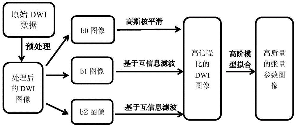 Multi-b-value DWI (diffusion weighted image) noise reduction method based on mutual information