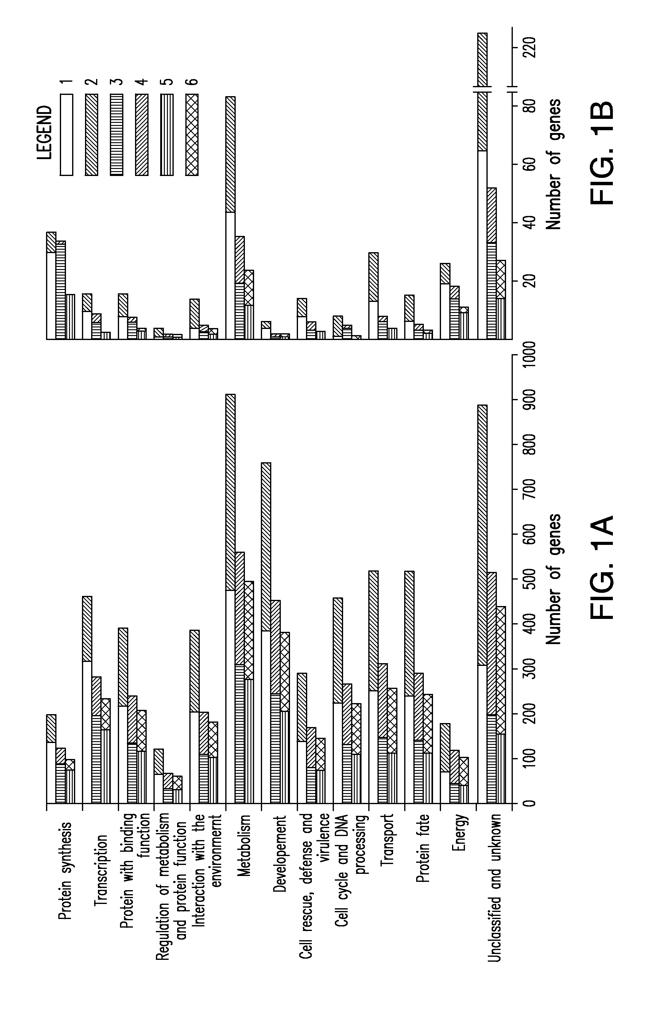 Multi-targeted priming for genome-wide gene expression assays