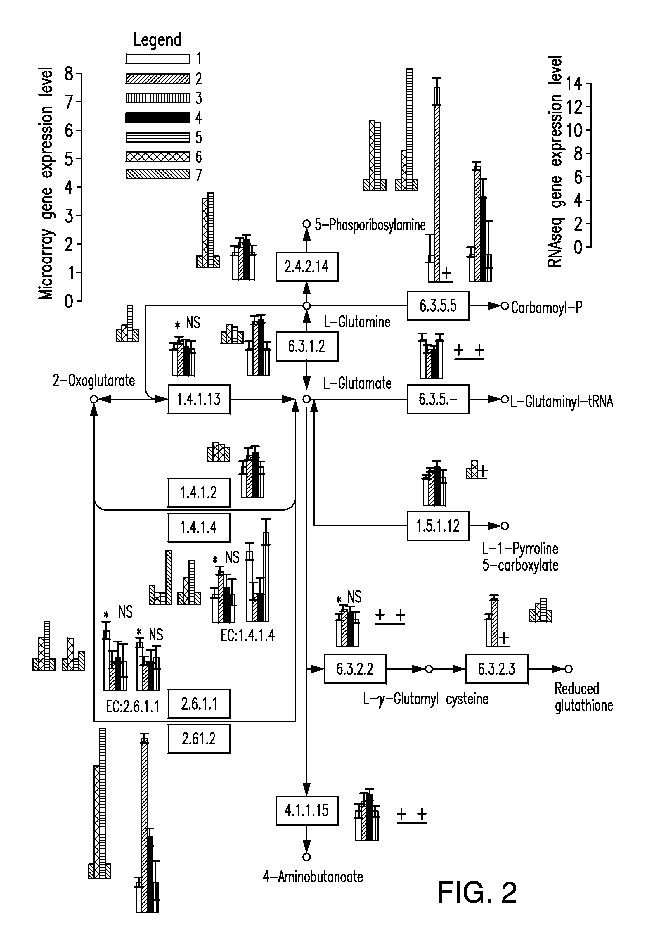 Multi-targeted priming for genome-wide gene expression assays