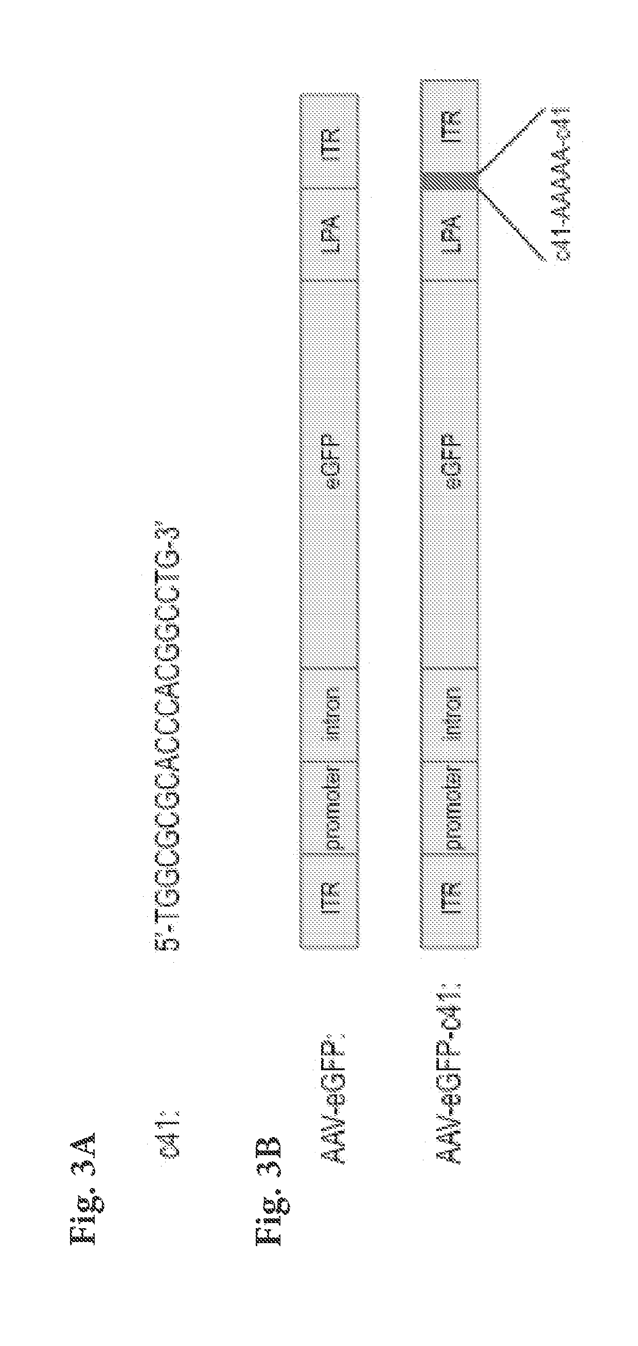 Engineered viral vector reduces induction of inflammatory and immune responses