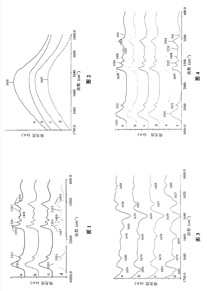 Infrared spectrum evaluating method of royal jelly freshness