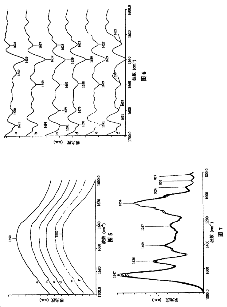 Infrared spectrum evaluating method of royal jelly freshness