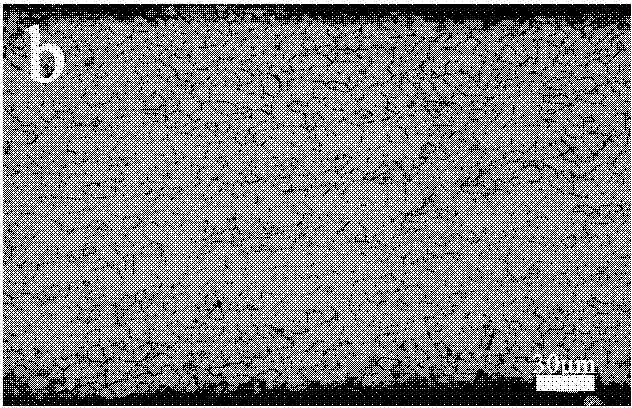 Method for promoting growth of GOSS textures of silicon steel strips by using pulse current