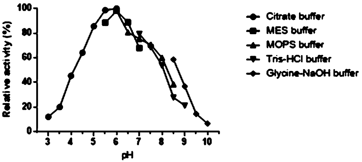 Beta-1,3 endo-glucanase with immune-enhancing activity andfrom Arca inflata Reeve and coding polynucleotide of beta-1,3 endo-glucanase