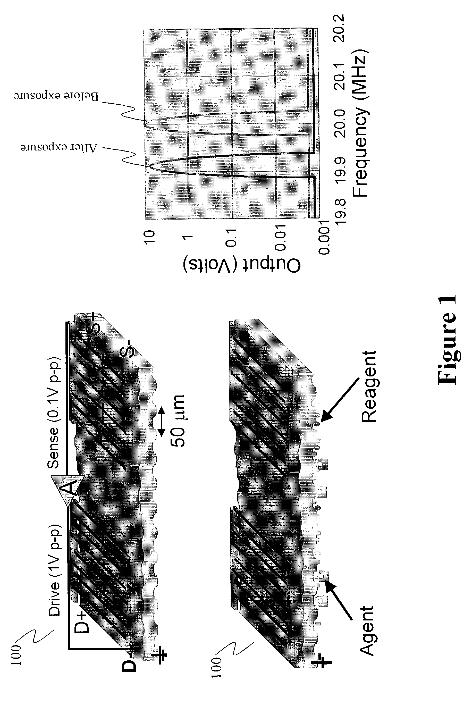 Method and apparatus for analyzing spatial and temporal processes of interaction