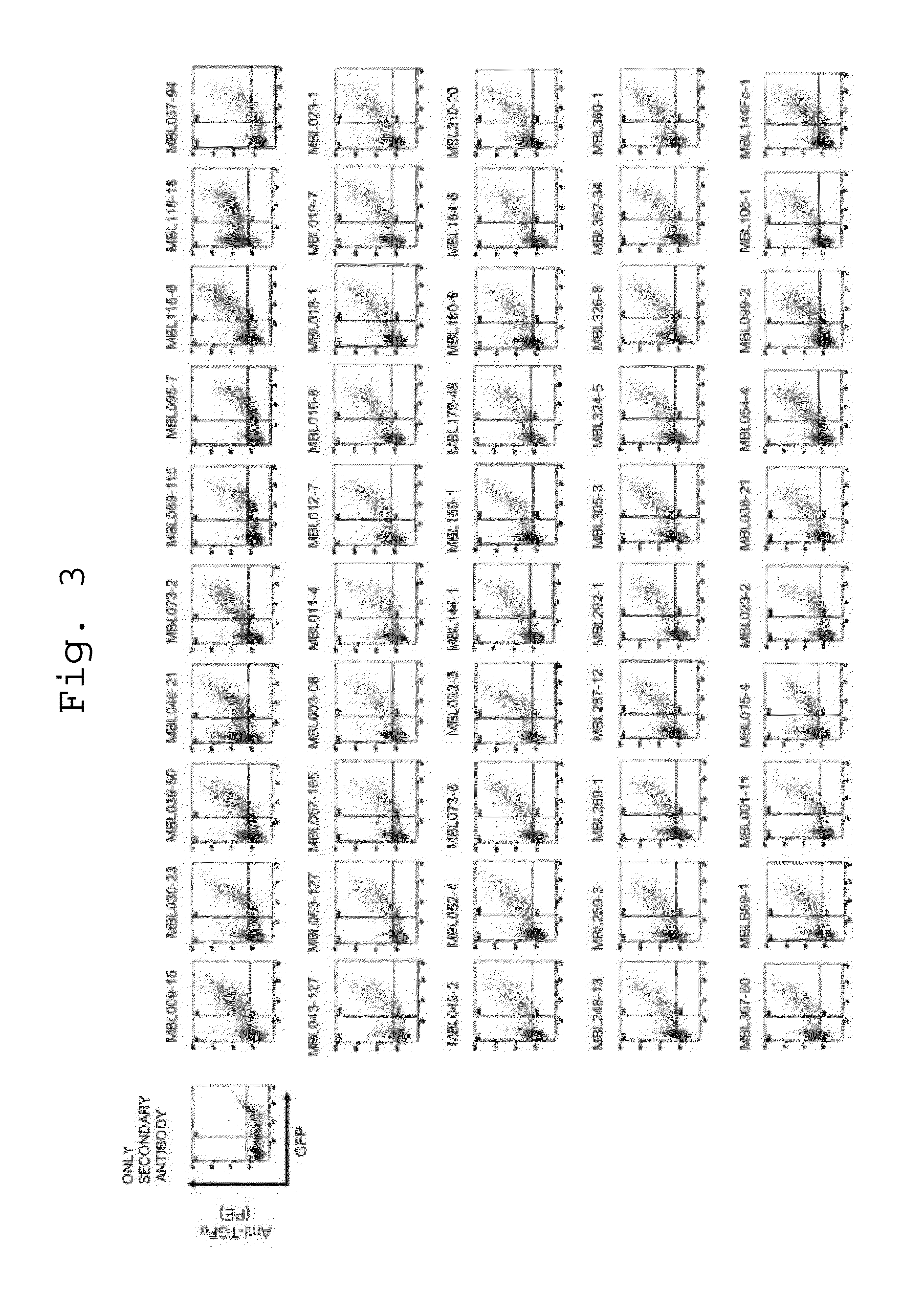 Antibody being capable of binding to transforming growth factor alpha and having growth-suppressing activity on cancers having ras gene mutation