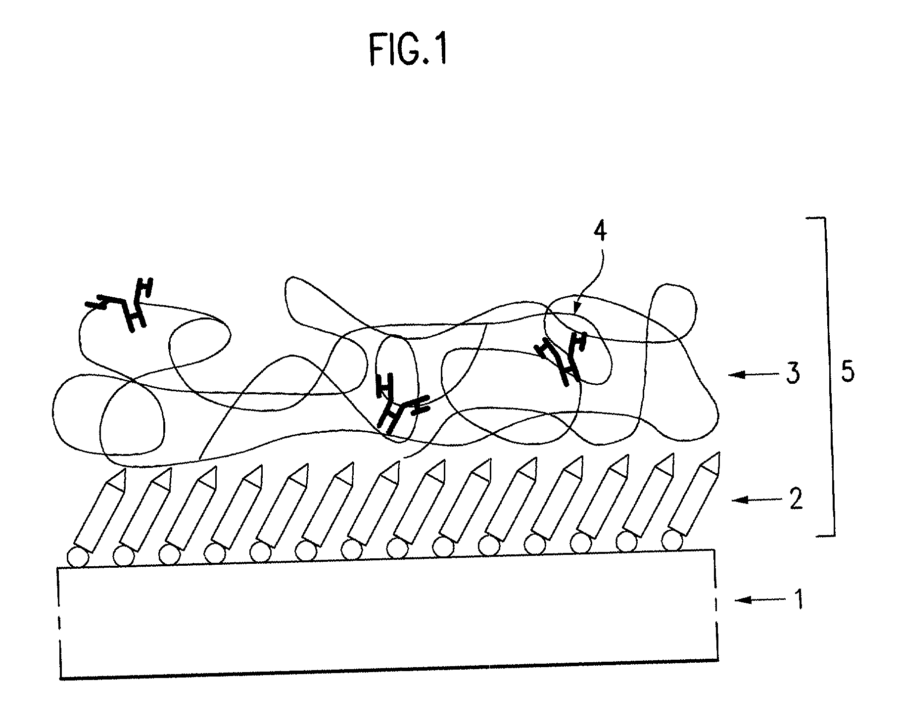 Interface sensing membrane in bioelectronic device and method for forming the same