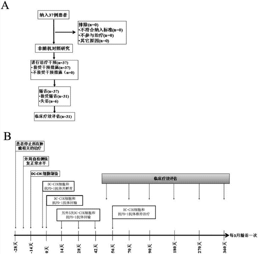 DC-CIK cell and anti-PD-1 antibody composition and application thereof