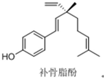 Green process for extracting high-purity bakuchiol