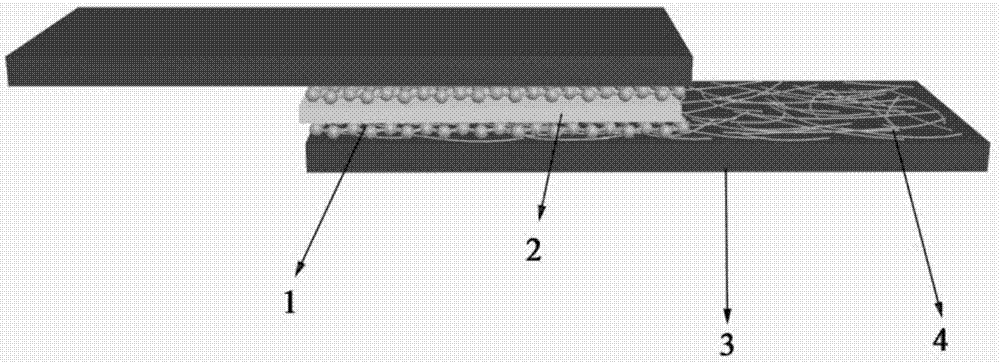 Method for preparing transparent flexible supercapacitor