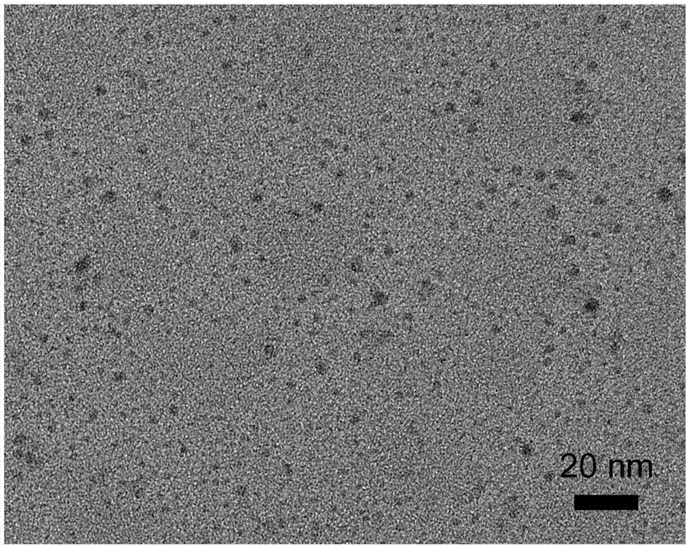 Preparation method of carbon quantum dots and application of carbon quantum dots in biofilm imaging