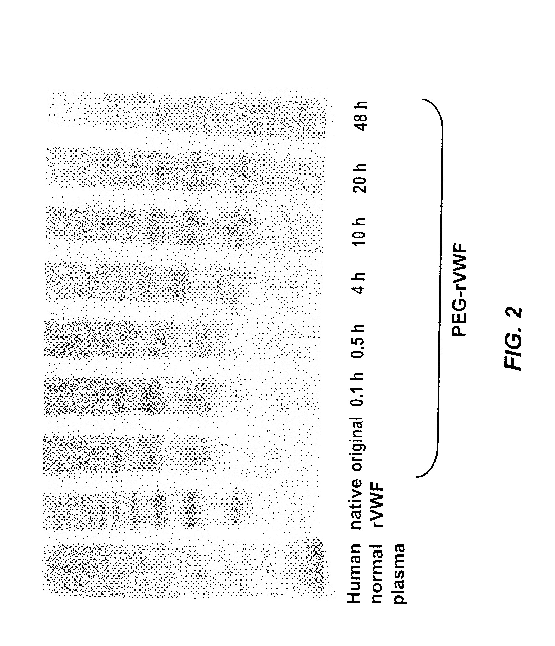 Methods for determining active ingredients in pro-drug PEG protein conjugates with releasable PEG reagents (in vitro de-pegylation)