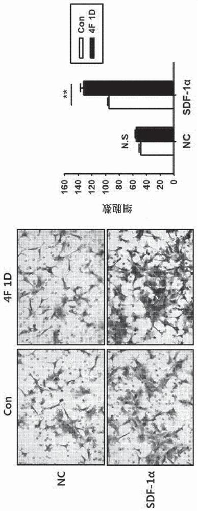 Composition for increasing biological activity of stem cells using mixture 4f