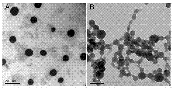 Avermectin nanometer microemulsion and preparation method thereof