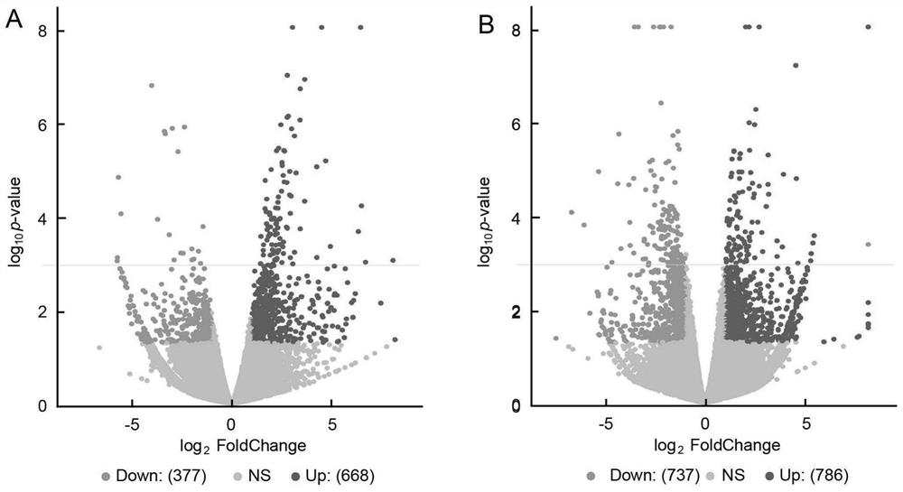 A kind of biomarker and application thereof for detecting ventricular septal defect