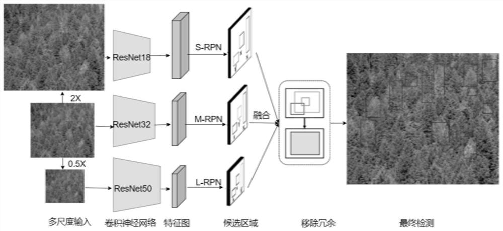 Image-based epidemic wood detection and positioning method and system