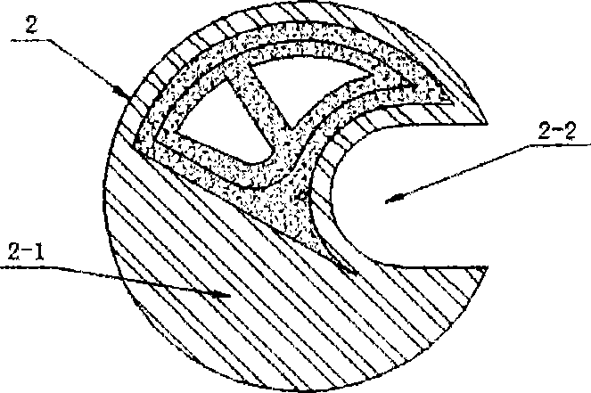 Coal water slurry compression-ignition internal combustion engine