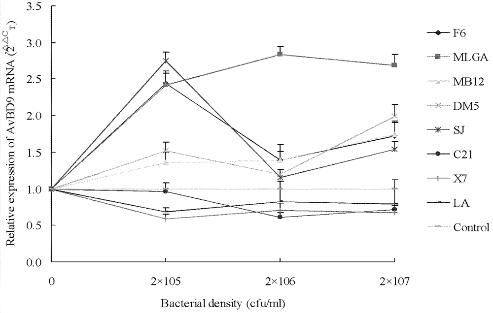 Whole peptidoglycan of lactobacillus cell wall and application in improving IEC (intestinal epithelial cell) antimicrobial peptide expression level thereof