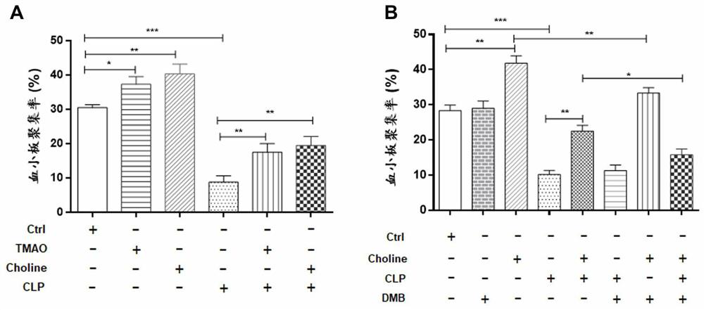 Application of compound acting on choline or TMAO related target in preparation of medicine for preventing and/or reversing clopidogrel resistance