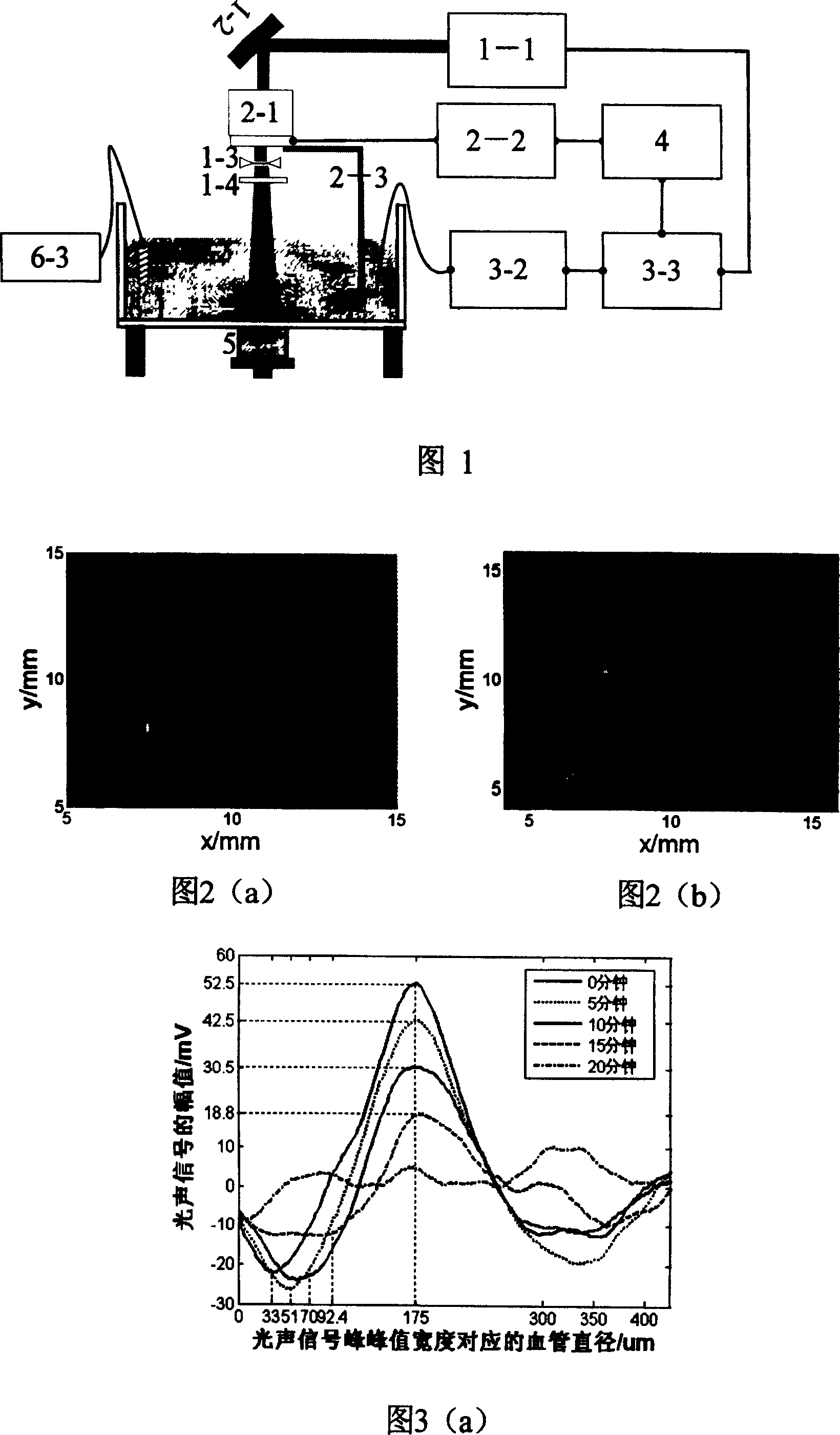 Photoacoustic blood vessel imaging method and equipment for monitoring photodynamic tumor treating effect