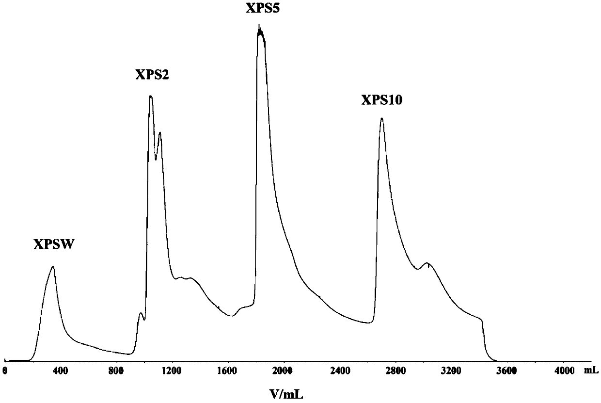 Rabdosia japonica glycoprotein XPS10-1, preparation method therefor and use of Rabdosia japonica glycoprotein XPS10-1
