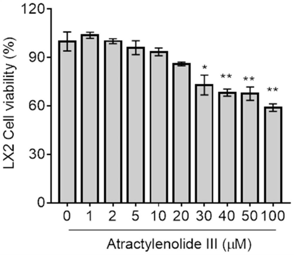 Application of atractylenolide III in preparation of anti-hepatic fibrosis drugs