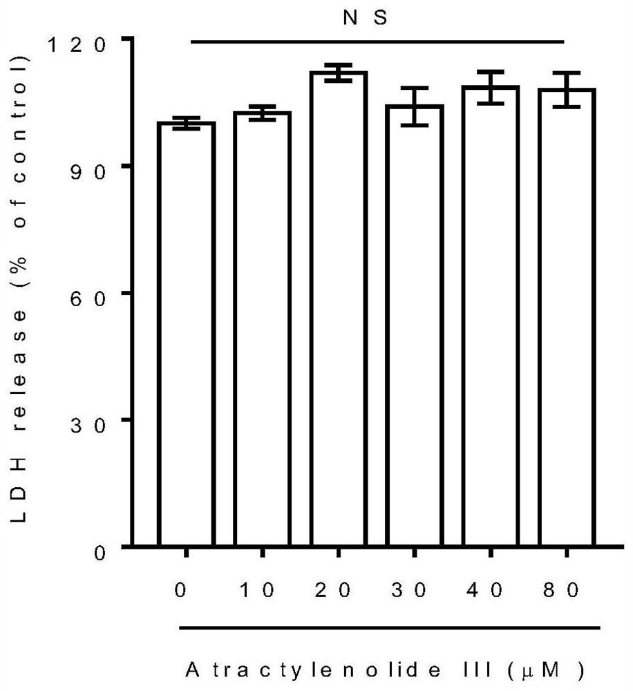 Application of atractylenolide III in preparation of anti-hepatic fibrosis drugs