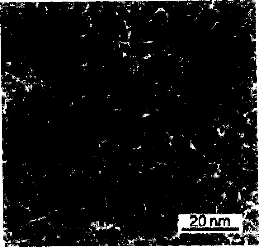 Titanium dioxide nano material film and preparation method thereof