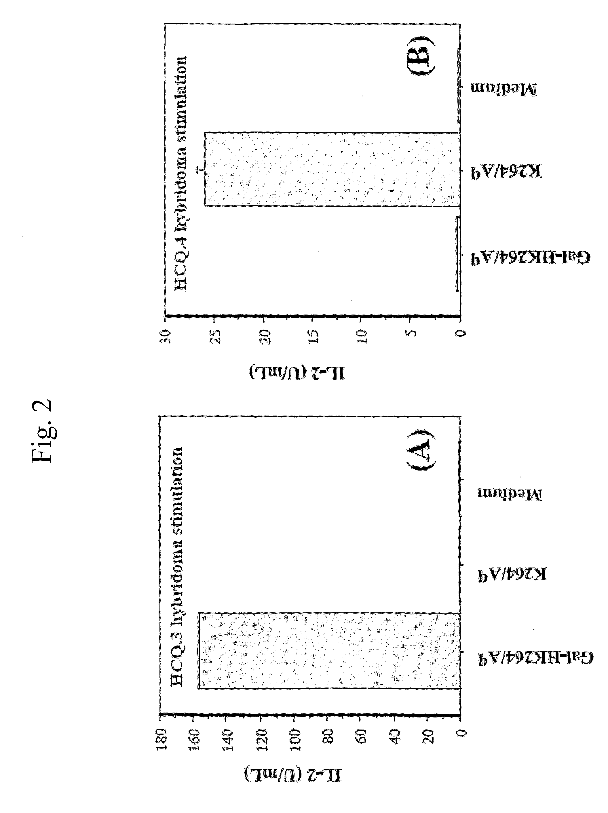 Compound comprising an autoantigenic peptide and a carrier with a mhc binding motif