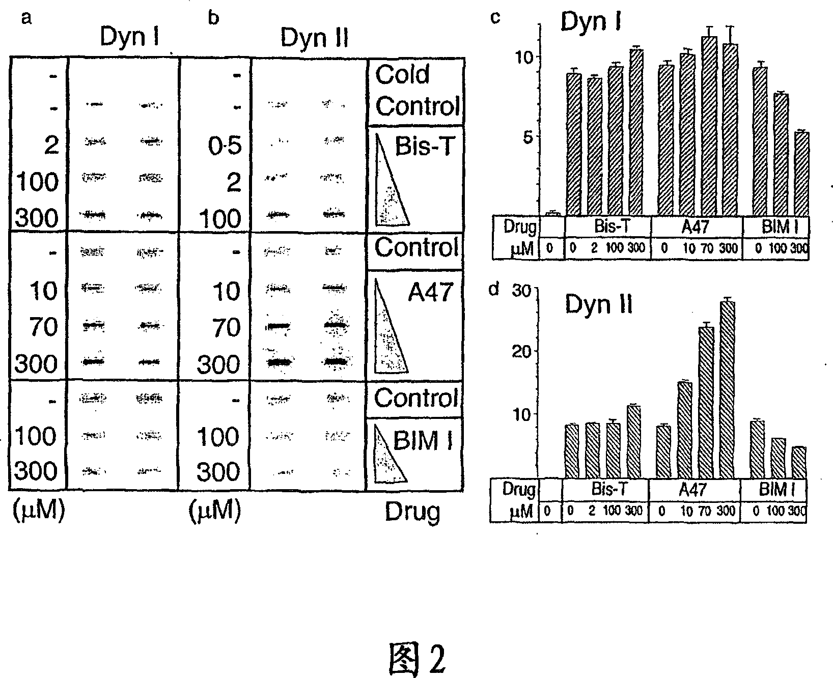 Methods and agents for inhibiting dynamin-dependent endocytosis