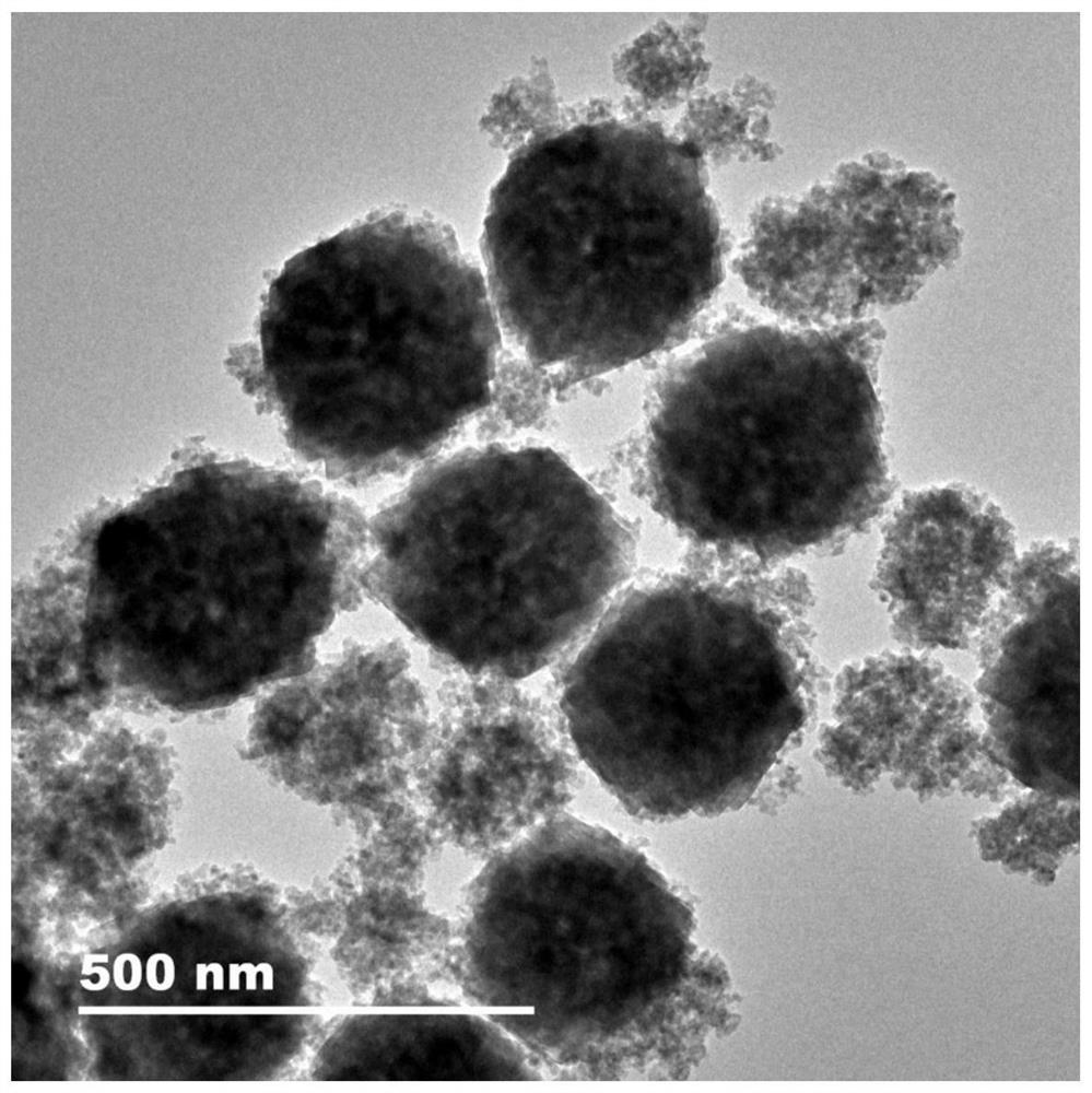 A rare earth probe capable of targeting lung squamous cell carcinoma and its preparation method and application