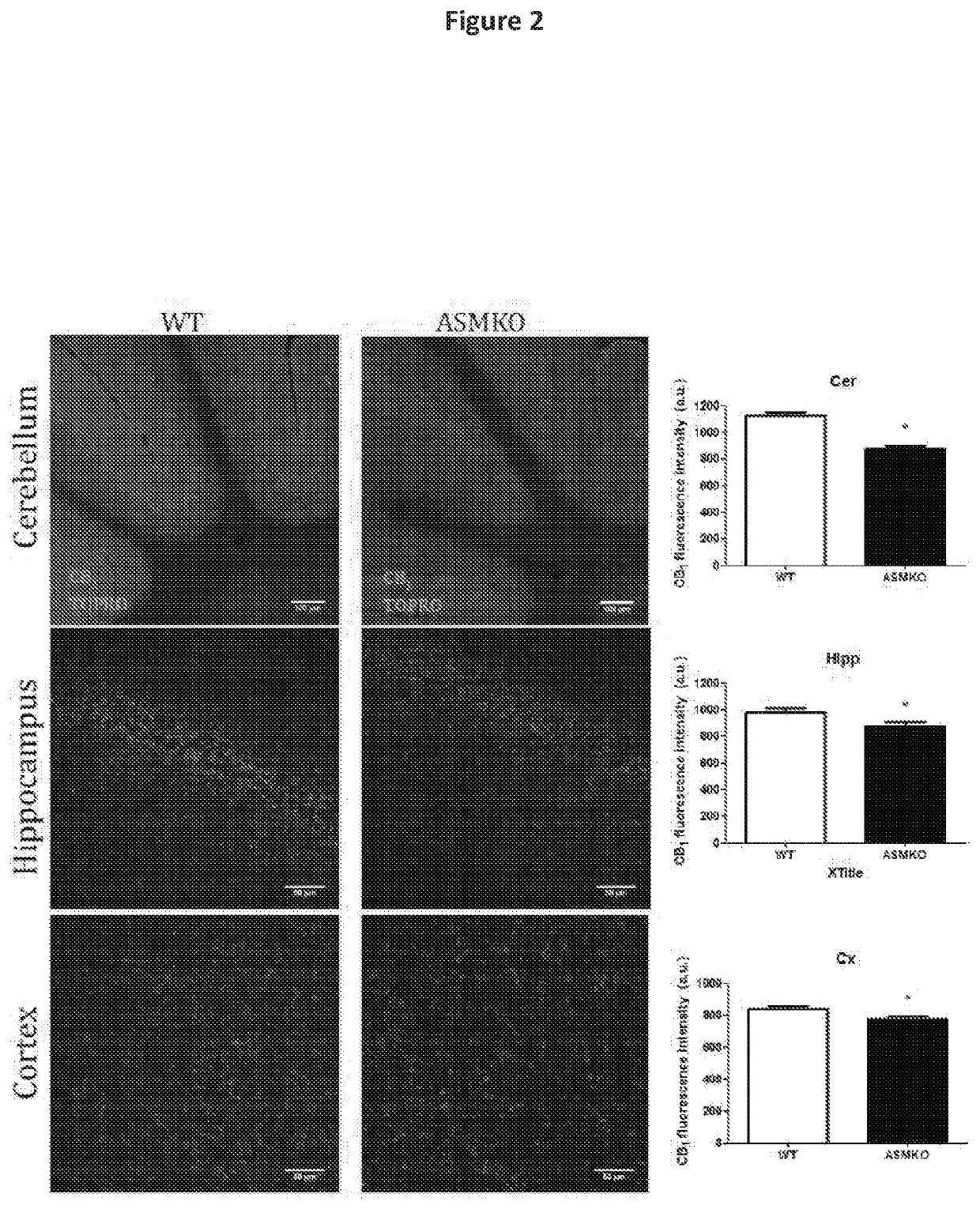 Compositions and methods for activating signaling through the cb1 cannabinoid receptor for treating and preventing diseases and disorders characterized by abnormal cellular accumulation of sphingolipids such as sphingomyelin