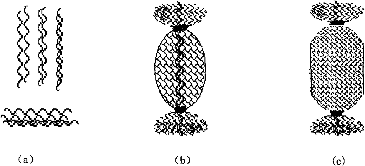 Fiber filtering material having sponge structure, its preparing method and use