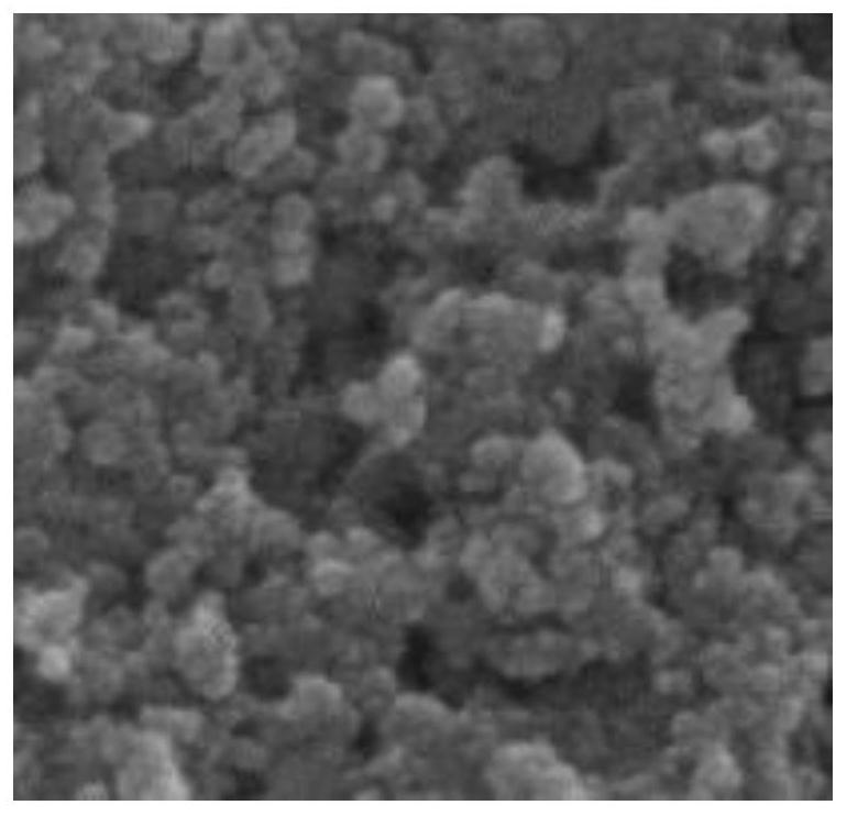 Porous polycarbazole nano-film loaded with nano zero-valent iron as well as preparation method and application of porous polycarbazole nano-film