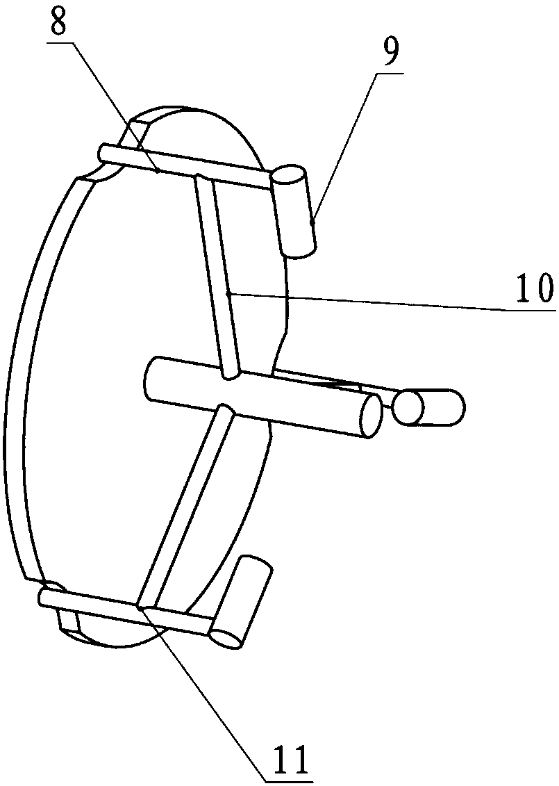 Rotary shaft mechanical locking device based on lever micro-motion principle