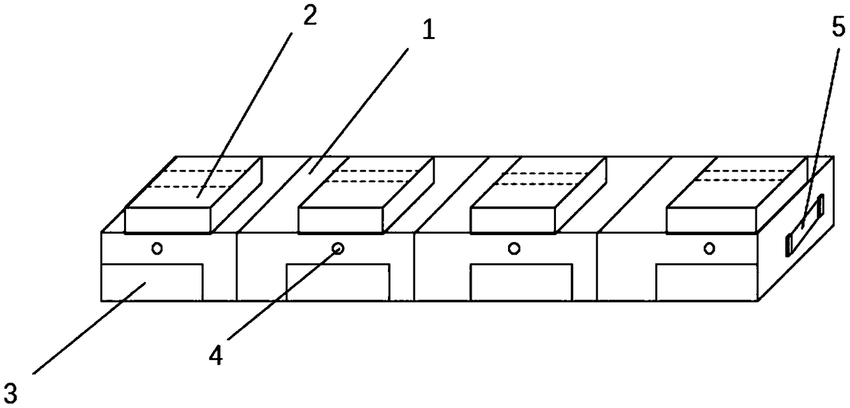 Hainan fish body drug resistance detection method