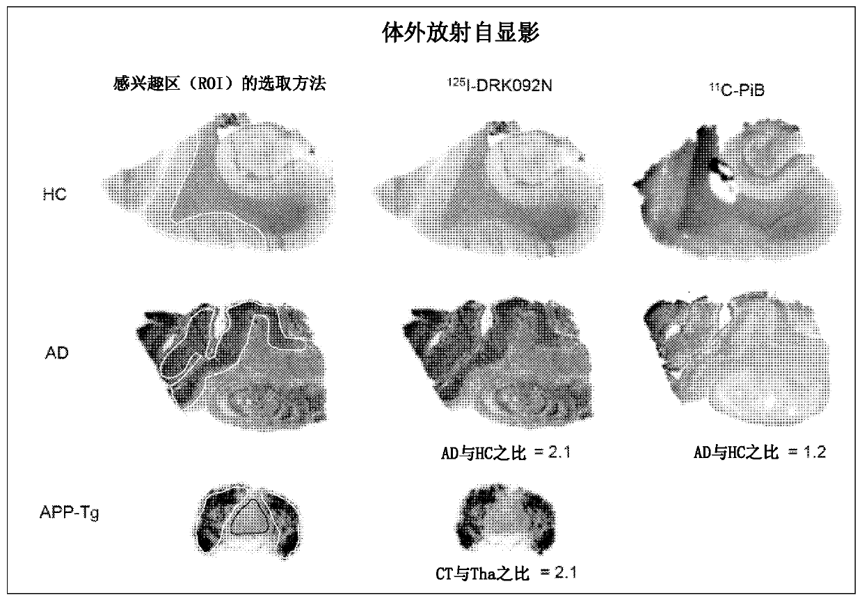 Radionuclide-labeled compound and imaging agent containing same