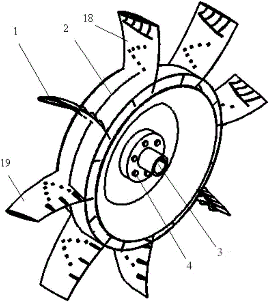 Axial flow fan three-dimensional impeller with leaf vein structures and seagull-shaped splitter blades