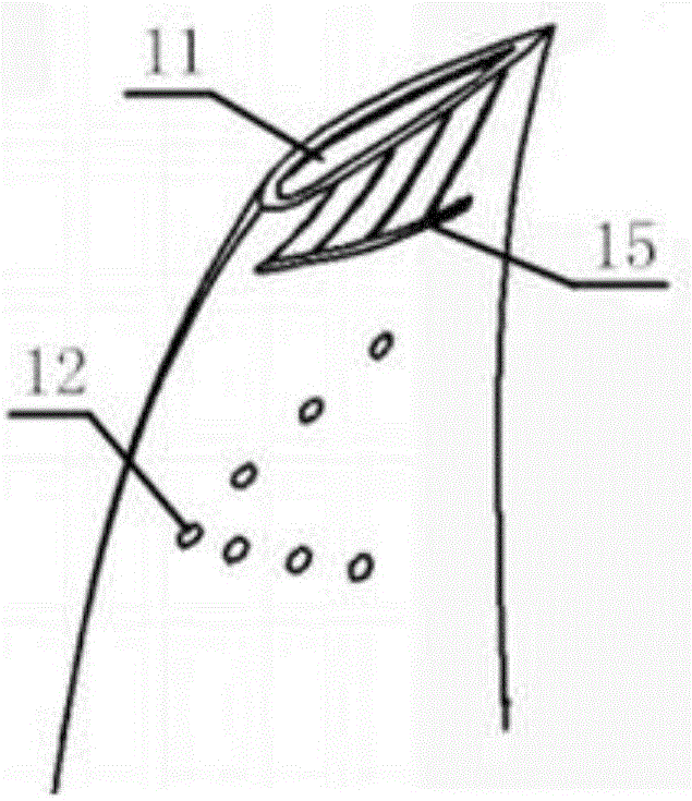 Axial flow fan three-dimensional impeller with leaf vein structures and seagull-shaped splitter blades