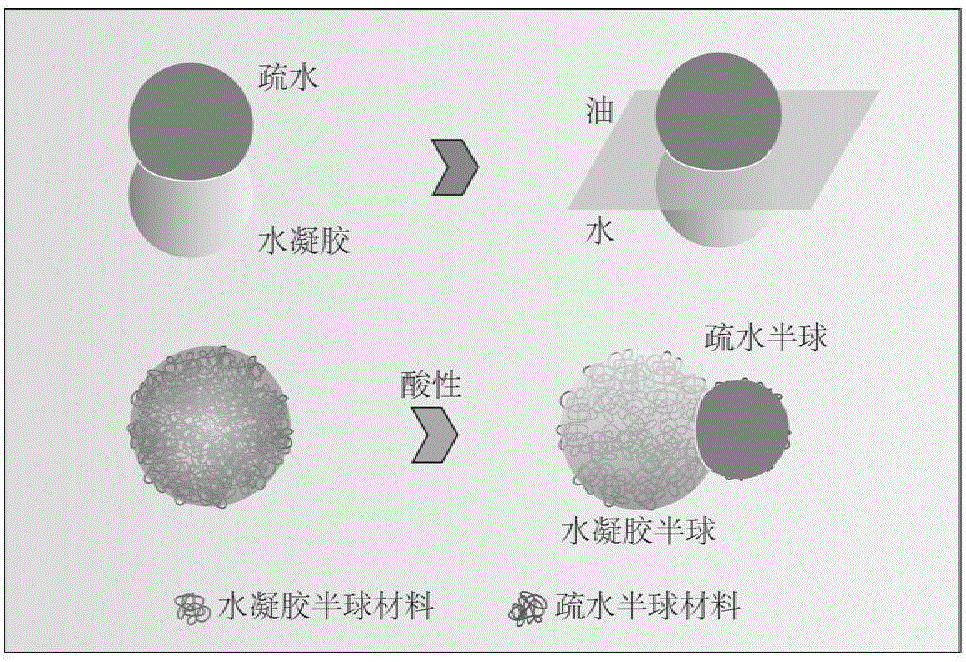 Hydrogel-hydrophobic Janus particle and preparation method thereof